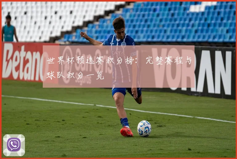 世界杯预选赛积分榜：完整赛程与球队积分一览